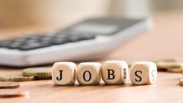 Job News