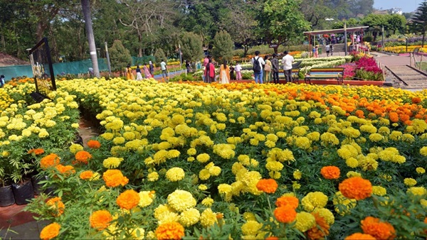  malampuzha-flower-show