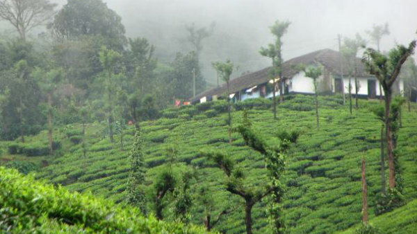 munnar