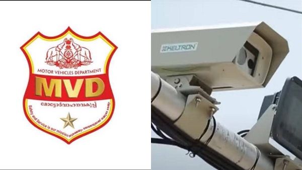 MVD