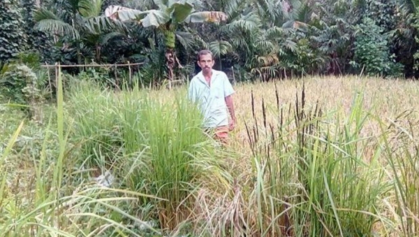 sathya narayana sathya narayana