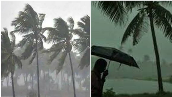 rain n