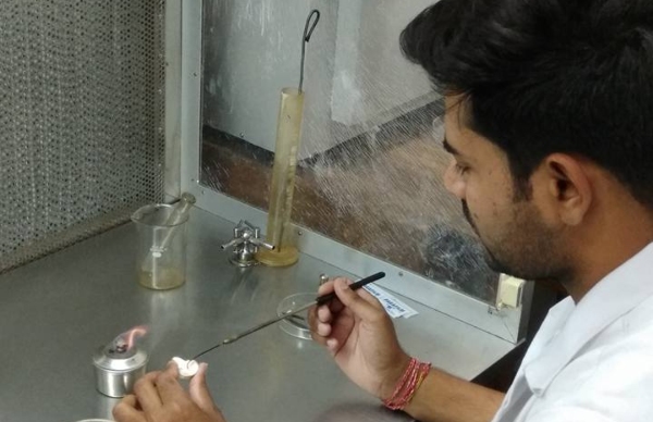 shankarmeenamushroom