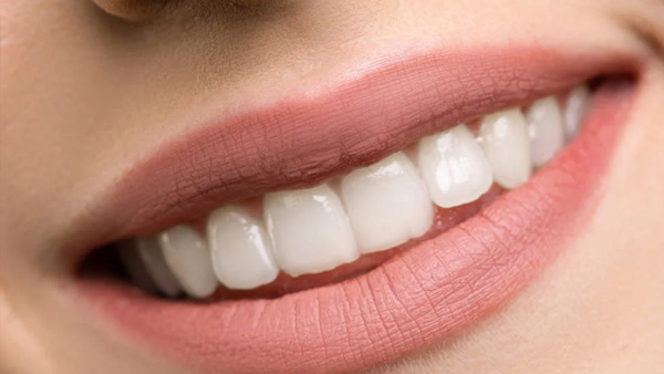 teeth