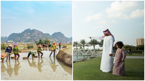  uae-farm
