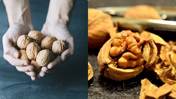 walnut-weight-loss