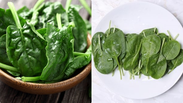 spinach-weight-loss spinach-weight-loss