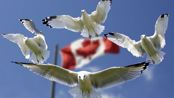 canada-