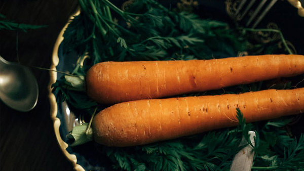 Carrot Leaves