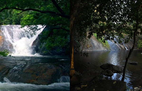 dhoniwaterfallspalakkad