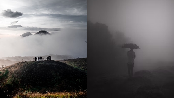  fog-17