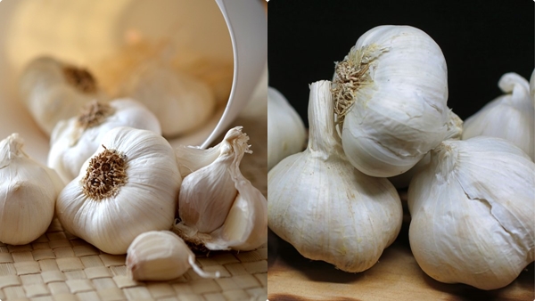 garlic-weight-loss-tips