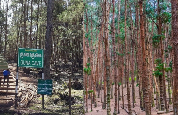 gunacave