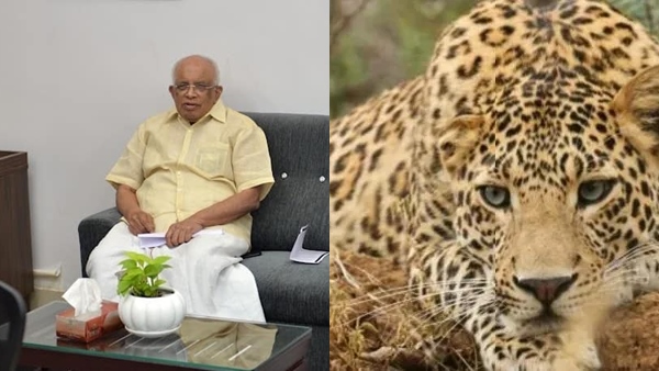 puli2-