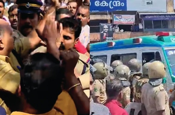 pulppallyissue pulppallyissue