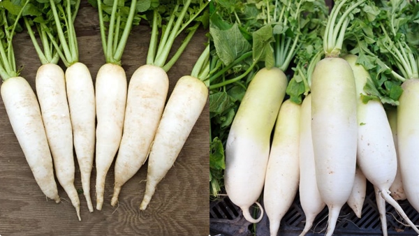 radish-weight-loss-tips