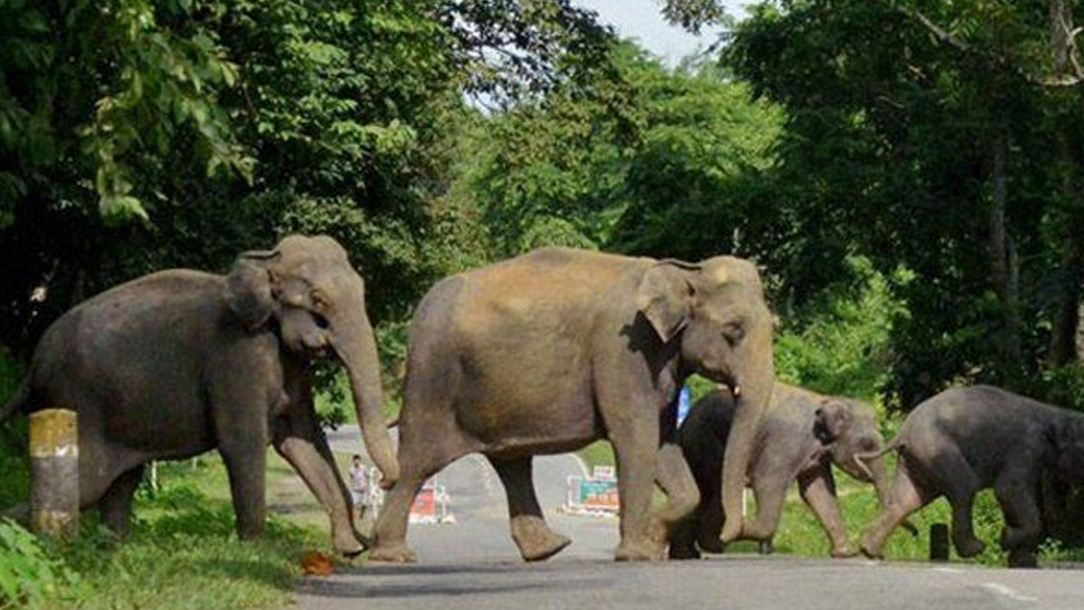KANNUR