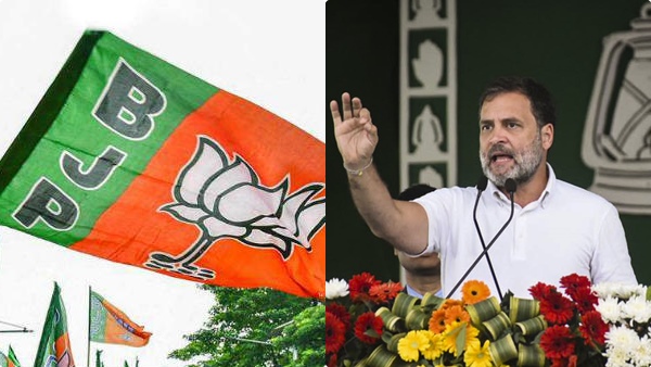 lok-sabha-election-survey