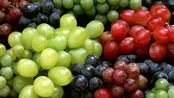 grapes 