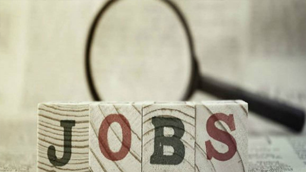 Job News