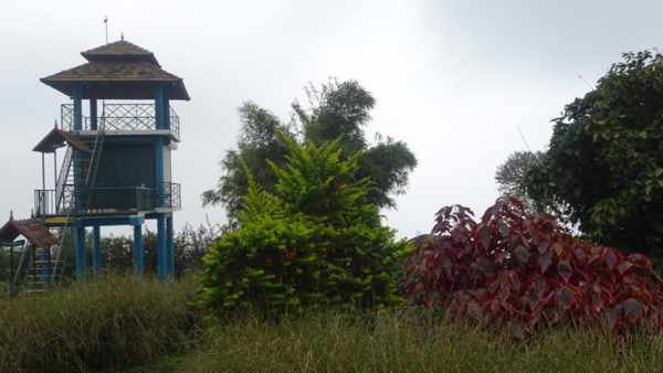 kumilyidukki
