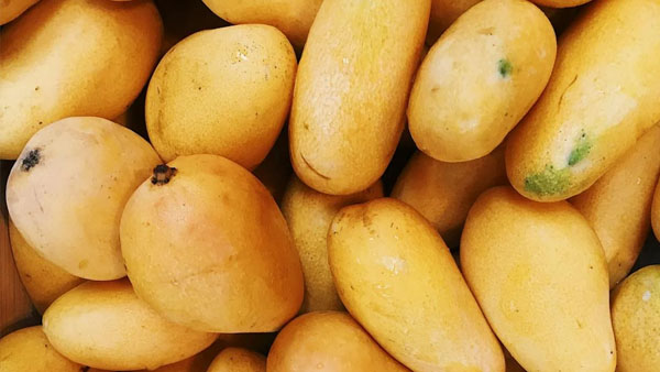 Mangoes