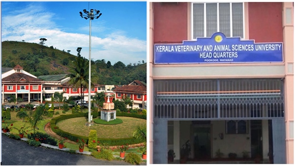 pookodu-university-vc-resigned