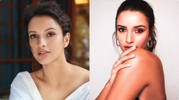 triptii-dimri-remuneration