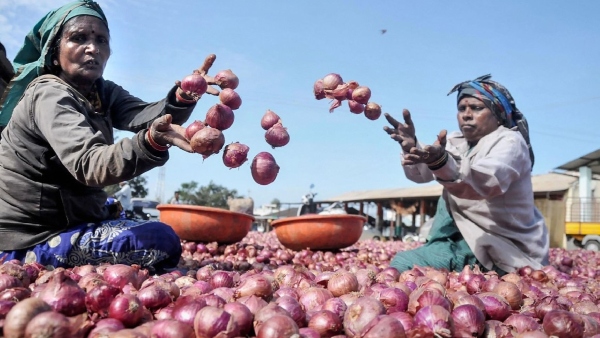 uae-onion-price