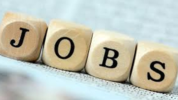 Job News