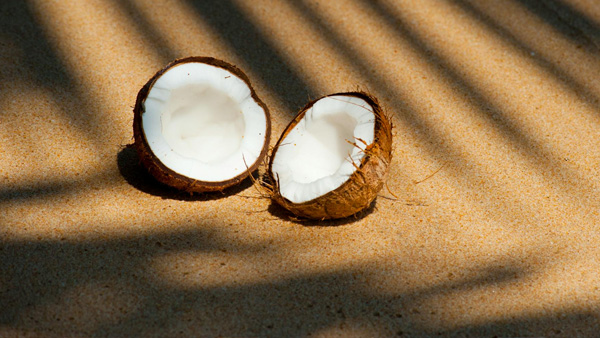 COCONUT COCONUT