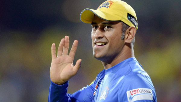 msdhonibusiness msdhonibusiness
