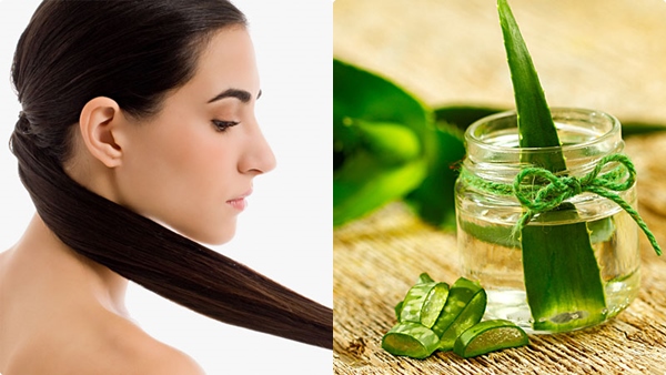 aloe-vera-health-care-tips