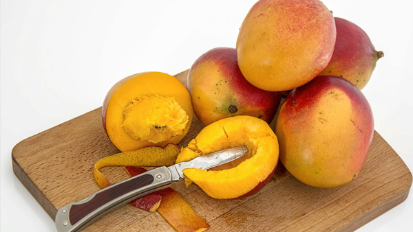 Health Care Health Care