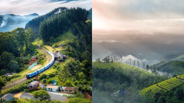 munnar2