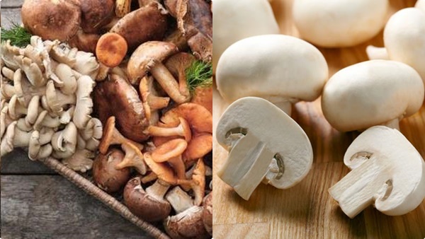 mushroom-diet