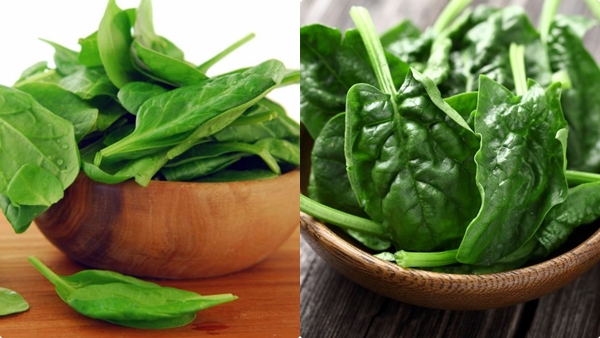 spinach-diet-weight-loss