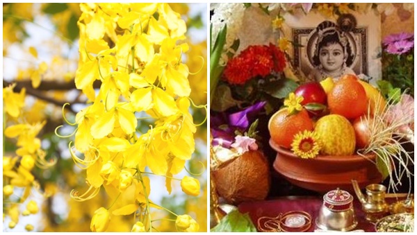 Happy Vishu Wishes Happy Vishu Wishes