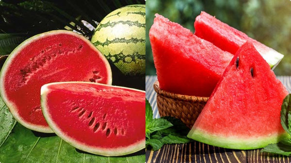 water-melon-diet water-melon-diet