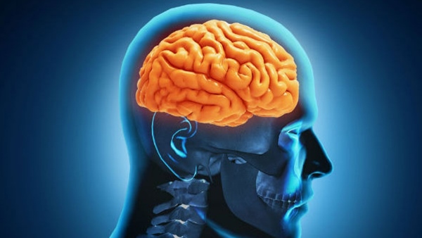 amoebic-meningoencephalitis- amoebic-meningoencephalitis-