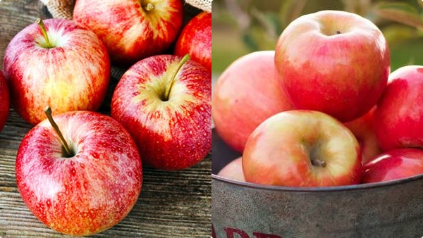 apple-health-benefits