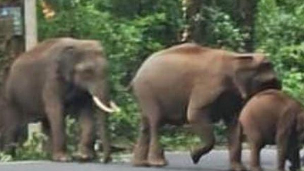 kannur kannur