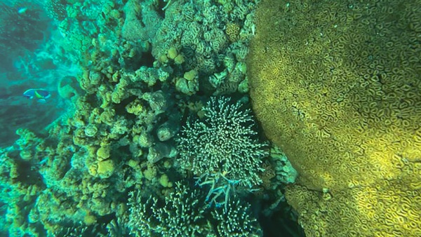 how-to-go-lakshadweep how-to-go-lakshadweep