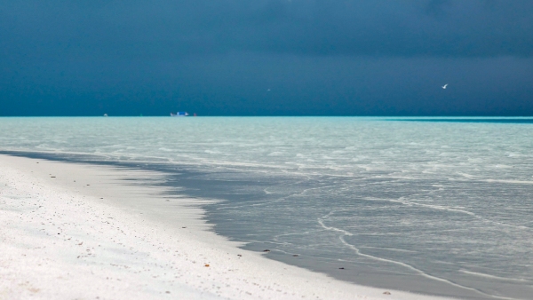 how-to-go-lakshadweep how-to-go-lakshadweep