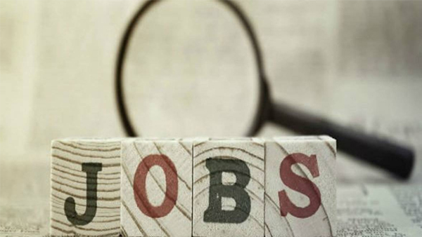 Job News