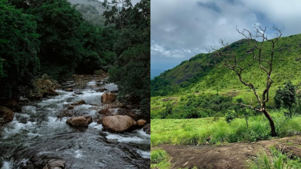 kakkadampoyil