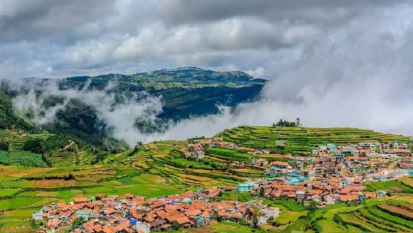 kodai- kodai-