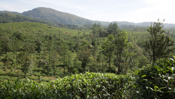 kurisumala kurisumala