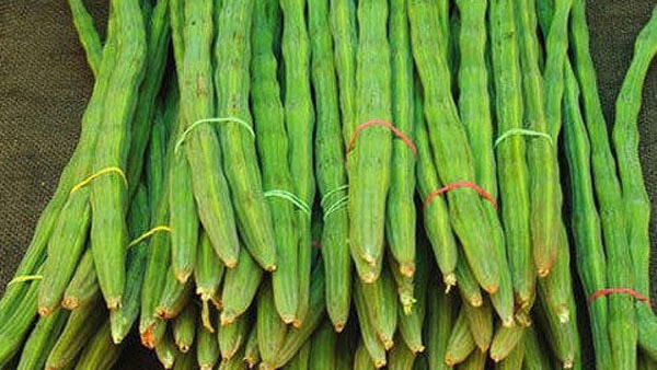 MORINGA