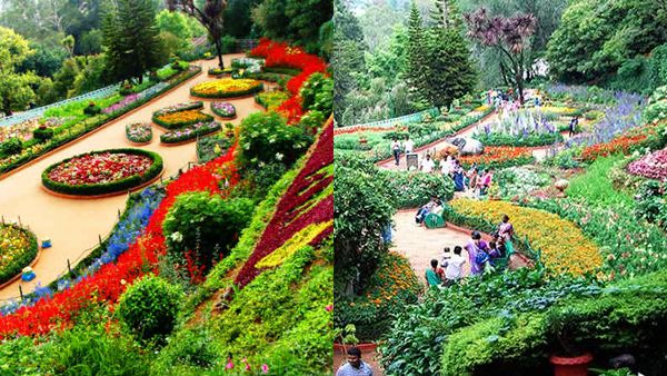 oottynew2- oottynew2-